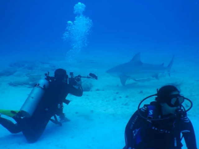 Buceo en Quintana Roo